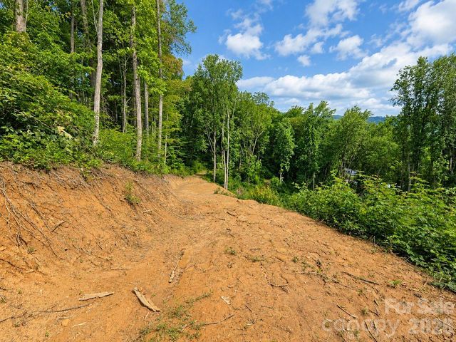 275 Sorrells Cove Road C1, Waynesville, NC 28786