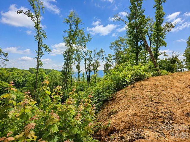 275 Sorrells Cove Road C1, Waynesville, NC 28786
