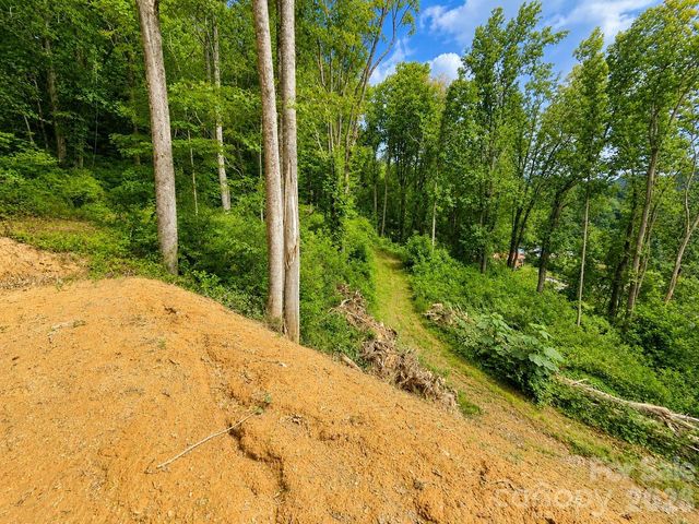 275 Sorrells Cove Road C1, Waynesville, NC 28786
