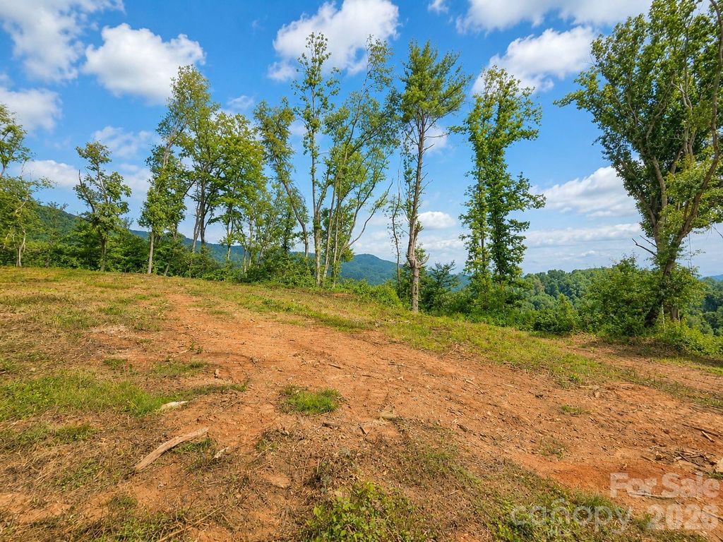 275 Sorrells Cove Road C1, Waynesville, NC 28786