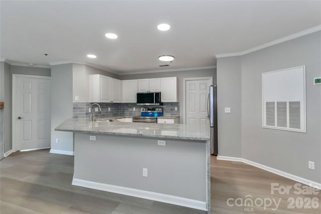 18563 Vineyard Point Lane, Cornelius, NC 28031