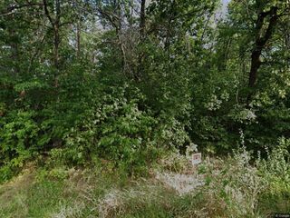 13388 W Hart Street, Wadsworth, IL 60083