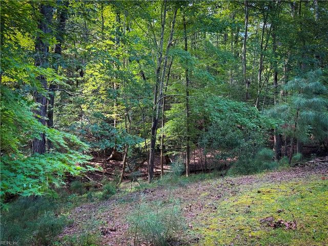 217 Riverview Plantation DR, Williamsburg, VA 23188