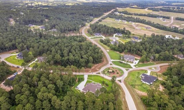 8652 Cedar Meadow Lane, Plantersville, TX 77363