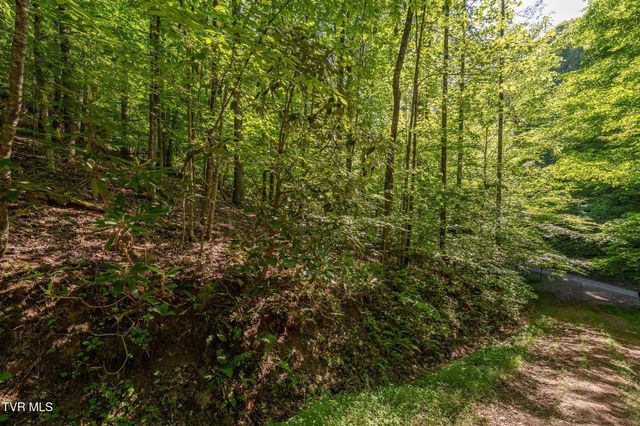 Tbd Canaan Road, Lot 16, Butler, TN 37640
