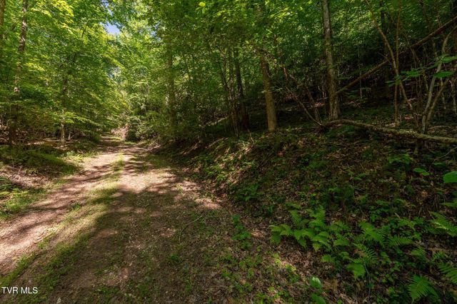 Tbd Canaan Road, Lot 16, Butler, TN 37640