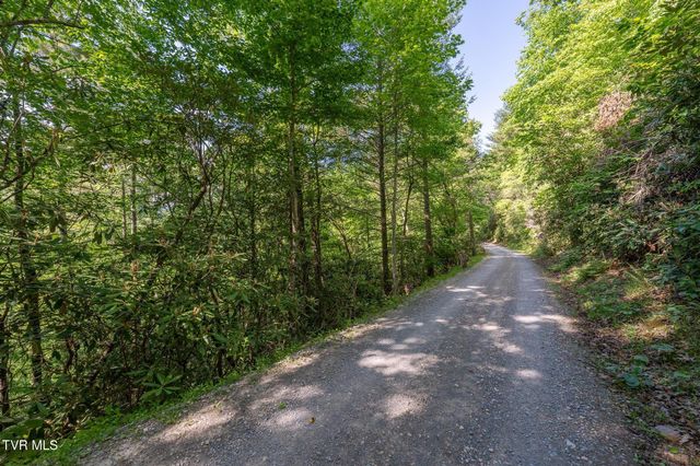 Tbd Canaan Road, Lot 16, Butler, TN 37640