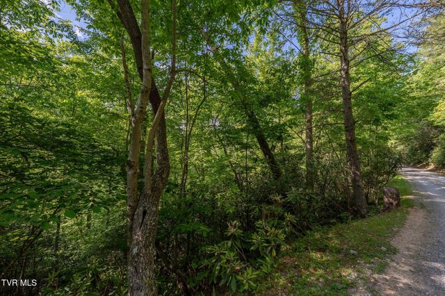 Tbd Canaan Road, Lot 16, Butler, TN 37640