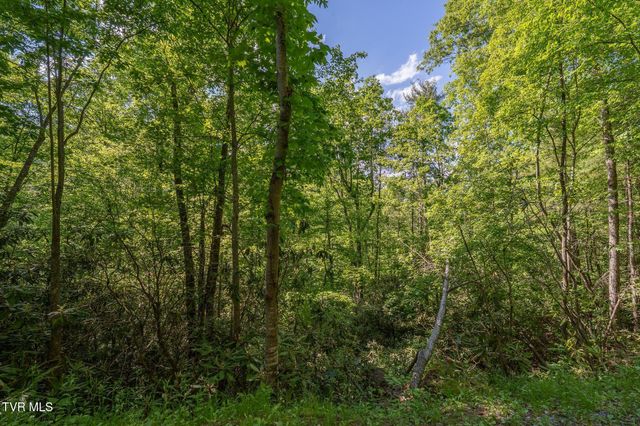 Tbd Canaan Road, Lot 16, Butler, TN 37640