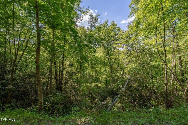 Tbd Canaan Road, Lot 16, Butler, TN 37640