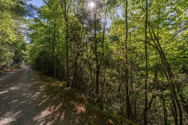 Tbd Canaan Road, Lot 16, Butler, TN 37640