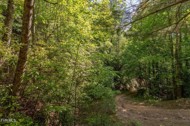 Tbd Canaan Road, Lot 16, Butler, TN 37640