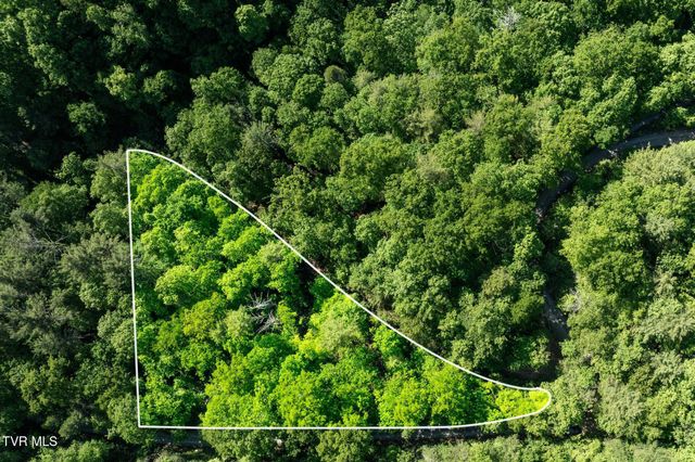Tbd Canaan Road, Lot 16, Butler, TN 37640