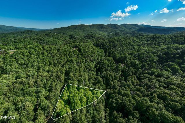 Tbd Canaan Road, Lot 16, Butler, TN 37640