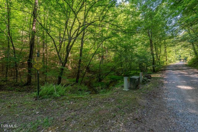 Tbd Canaan Road, Lot 16, Butler, TN 37640
