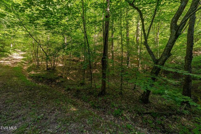 Tbd Canaan Road, Lot 16, Butler, TN 37640