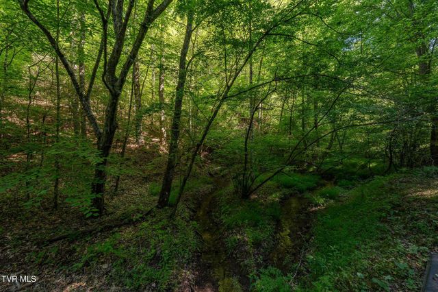 Tbd Canaan Road, Lot 16, Butler, TN 37640