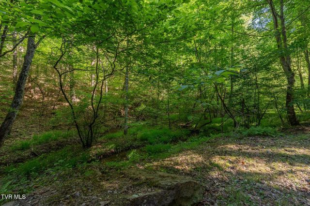 Tbd Canaan Road, Lot 16, Butler, TN 37640