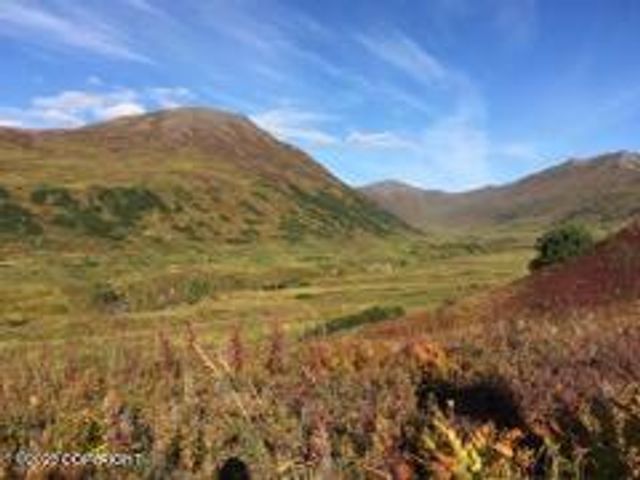 9320 S Cache Crk Drive, Lot 113, Trapper Creek, AK 99683