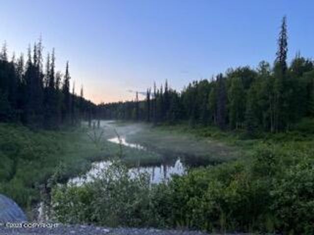 9320 S Cache Crk Drive, Lot 113, Trapper Creek, AK 99683