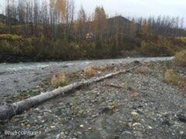 9320 S Cache Crk Drive, Lot 113, Trapper Creek, AK 99683