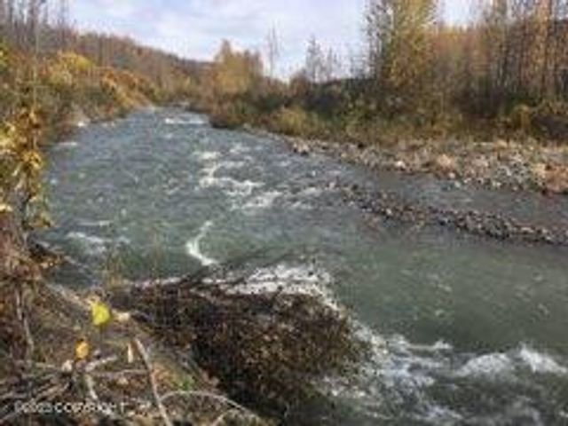9320 S Cache Crk Drive, Lot 113, Trapper Creek, AK 99683