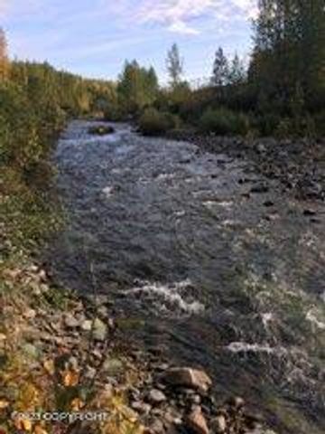 9320 S Cache Crk Drive, Lot 113, Trapper Creek, AK 99683