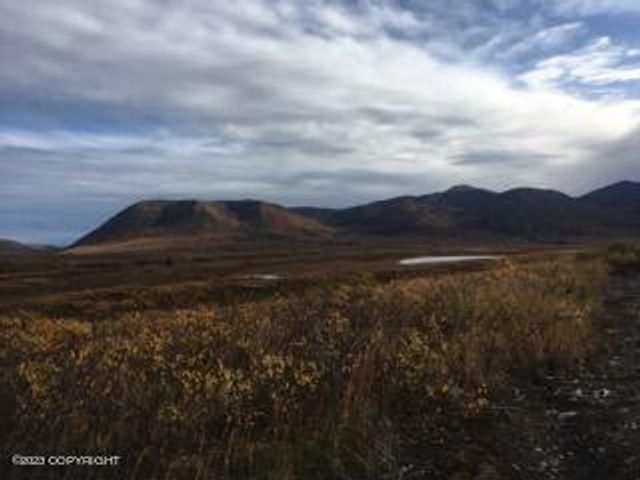9320 S Cache Crk Drive, Lot 113, Trapper Creek, AK 99683