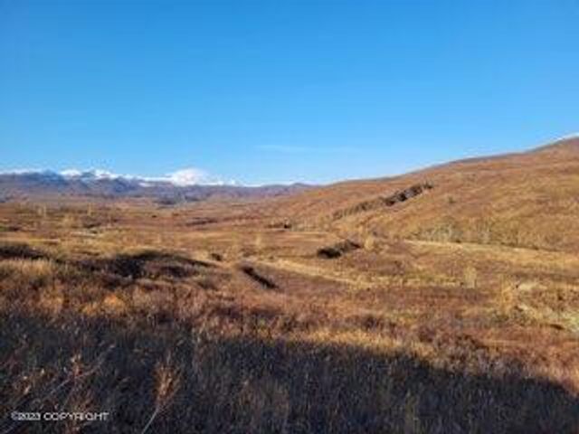 9320 S Cache Crk Drive, Lot 113, Trapper Creek, AK 99683