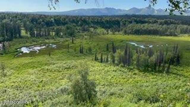 9320 S Cache Crk Drive, Lot 113, Trapper Creek, AK 99683