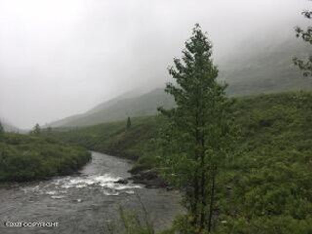 9320 S Cache Crk Drive, Lot 113, Trapper Creek, AK 99683