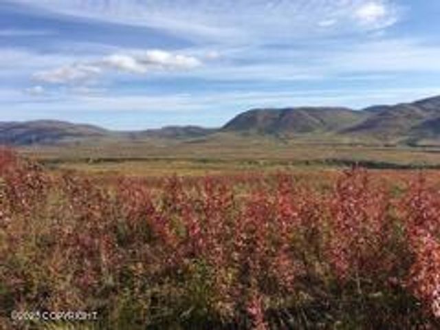9320 S Cache Crk Drive, Lot 113, Trapper Creek, AK 99683