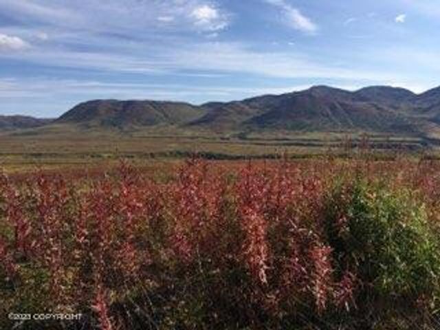 9320 S Cache Crk Drive, Lot 113, Trapper Creek, AK 99683