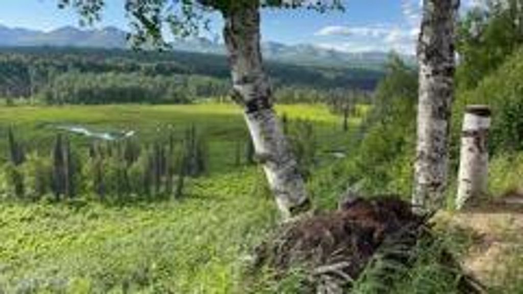 9320 S Cache Crk Drive, Lot 113, Trapper Creek, AK 99683