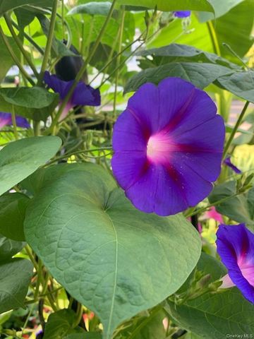 703 Fresh Pond Avenue 175, Calverton, NY 11933