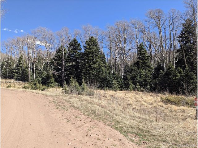 2664 Grojean Dr, Fort Garland, CO 81133