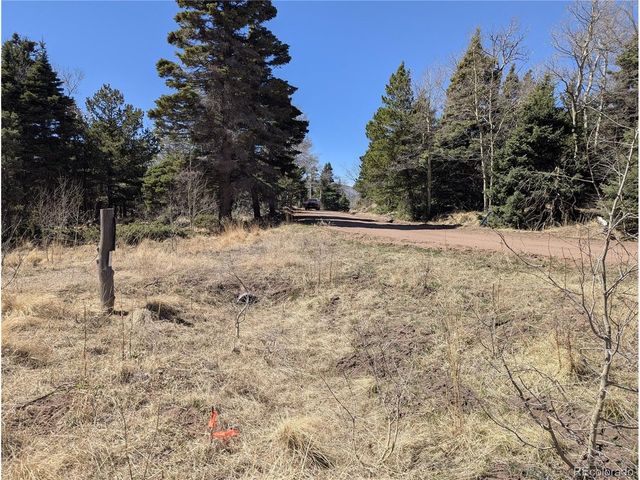2664 Grojean Dr, Fort Garland, CO 81133
