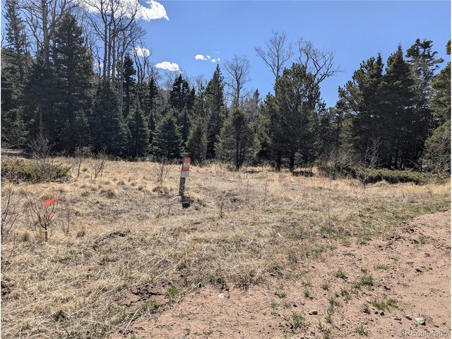 2664 Grojean Dr, Fort Garland, CO 81133