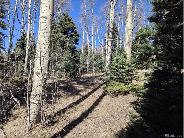 2664 Grojean Dr, Fort Garland, CO 81133