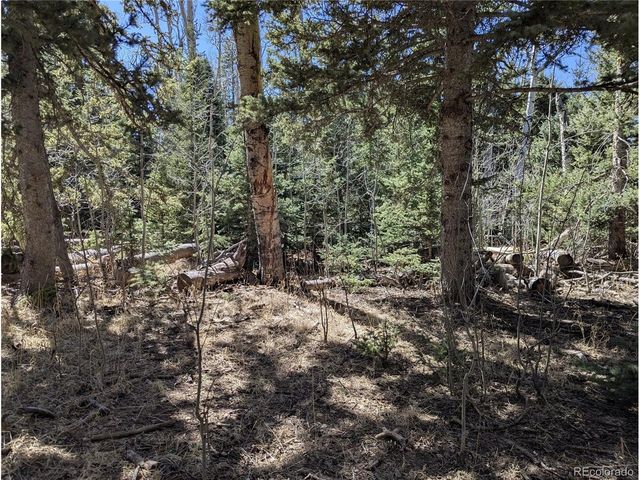 2664 Grojean Dr, Fort Garland, CO 81133