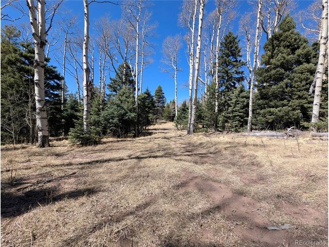 2664 Grojean Dr, Fort Garland, CO 81133