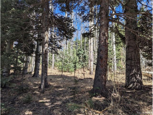 2664 Grojean Dr, Fort Garland, CO 81133