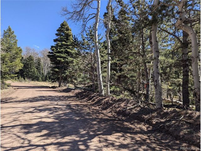 2664 Grojean Dr, Fort Garland, CO 81133