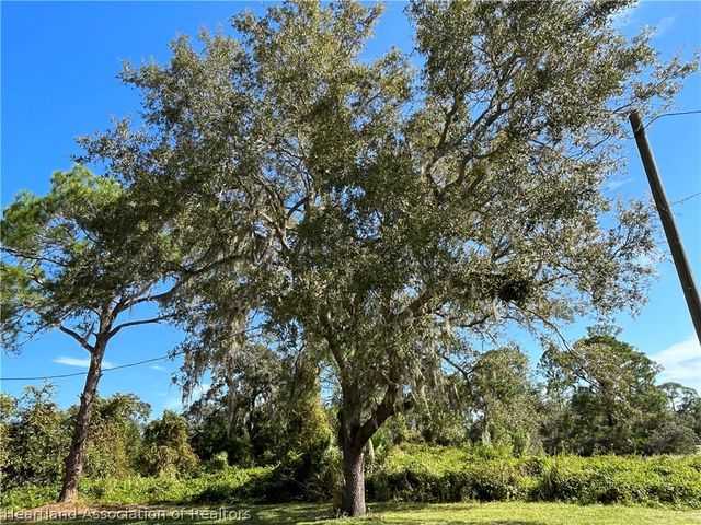 343 Ellison Avenue, Lake Placid, FL 33852