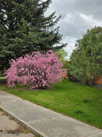 606 S Arizona, Dillon, MT 59725