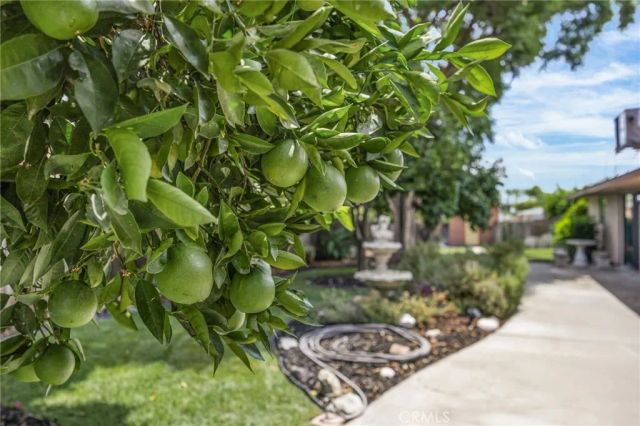 3495 Camellia Drive, San Bernardino, CA 92404