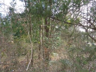 TBD CR 4870, Winnsboro, TX 75494