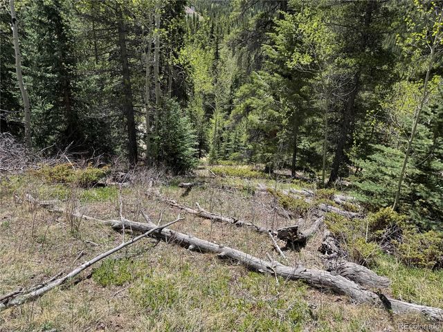 190 Blue Bell Lane, Idaho Springs, CO 80452