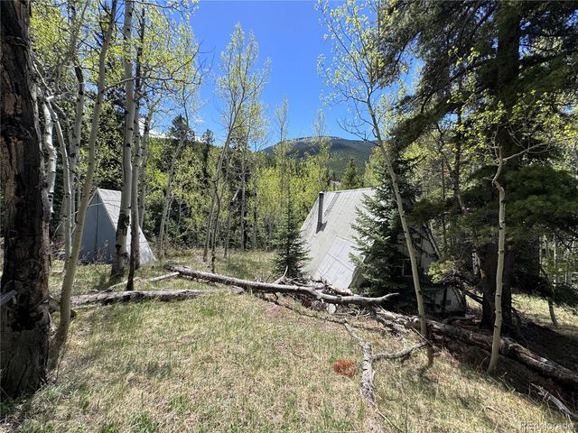 190 Blue Bell Lane, Idaho Springs, CO 80452