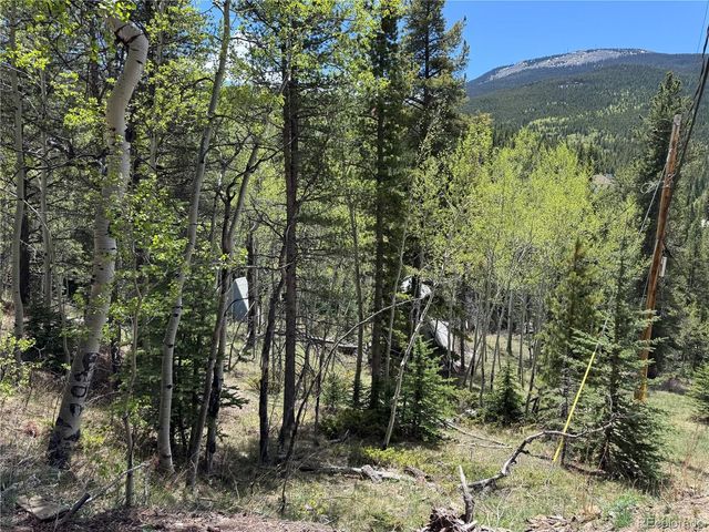 190 Blue Bell Lane, Idaho Springs, CO 80452
